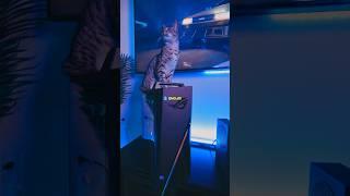 $2,000 Gaming PC Giveaway!