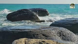Реальные Звуки Природы. Шум моря, Океана и волн для сна и отдыха. Красивый фон морского берега