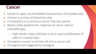 Calculating Mitotic Index + Cancer (Biology Ep. 8)