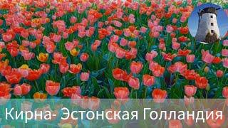 Эстония. Мыза Кирна - место, где можно зарядиться энергий и поправить здоровье️️️.