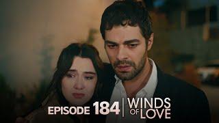 Rüzgarlı Tepe 184. Bölüm | Winds of Love Episode 184