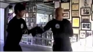 WARRIORS ACADEMY - Master Virgil Cavada