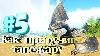 ARK Survival Evolved #5 Как приручить тапежару