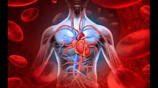 Binaural Beats Blood Pressure: Sounds To Lower Blood Pressure