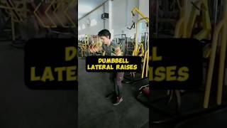Teknik Dumbbell Lateral Raises