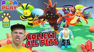 СОБРАЛ ВСЕ ПЕТЫ!!! Collect All Pets papa