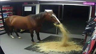 offensive memes but if ylyl v685