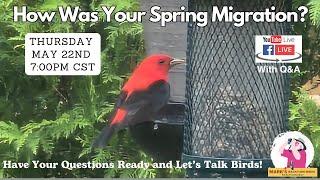 The Good and Bad of Spring 2025 Bird Migration