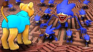 Can SHIN SONIC find me in a MAZE?! (Garry's Mod Sandbox)