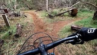 Pirate Trail Pemberton MTB