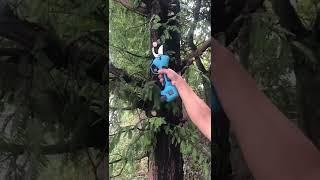 Cordless Pruning Shears  Cordless Pruners Tree Branch Pruner Powerful Pruner for Garden Tree