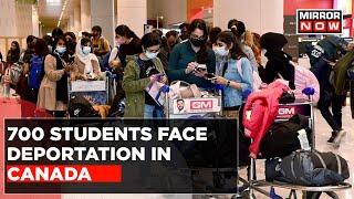 Daily Mirror: Nearly 700 Indian Students Facing Deportation In Canada | Canada-India Top News