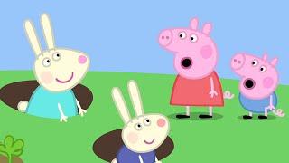 Peppa Pig Nederlands | Huis Rebecca's | Tekenfilms voor kinderen