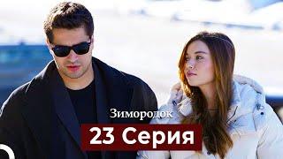 Зимородок 23 Cерия (Русский дубляж)