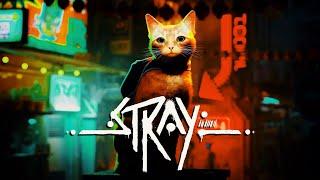 Stray - #03 - L'appartement