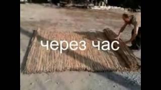 Станок для изготовления камышовых матов,  Machine for making reed mats,  机床，用于生产磁簧垫