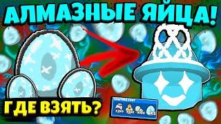 ВСЕ СПОСОБЫ ПОЛУЧЕНИЯ АЛМАЗНЫХ ЯЙЦ в СИМУЛЯТОРЕ ПЧЕЛОВОДА! METHOD DIAMOND EGG in Bee Swarm Simulator