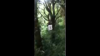 Fat guy breaks zip line