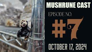  The Rise and Fall of Smallhold & Starting a Mushroom Farm Today | MushRune Cast Episode 7 