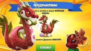 ПОЛУЧИЛ ДРАКОНА СВЕТОЧ (I GOT LANTERN DRAGON) | ЛЕГЕНДЫ ДРАКОНОМАНИИ (DRAGON MANIA LEGENDS)