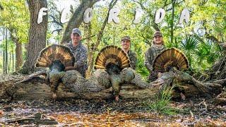 Turkey Hunting FLORIDA!! 3 GOBBLERS In 2 DAYS