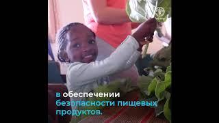 Обеспечение безопасности пищевых продуктов – наша общая ответственность.