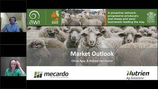 The Outlook for the wool lamb and sheep markets