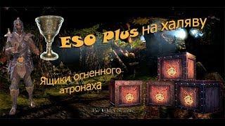 TESO с бесплатным ESO Plus и обзор кронных ящиков огненного атронаха