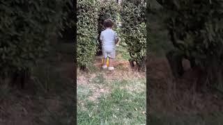 Cute Baby Aslan Playing In Park ️ With Football  #adorablebabymoments #cuteanimal #automobile