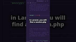 Encrypting Laravel Sessions is EXTREMELY Easy #laravel #shorts