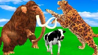 Crazy Buffalo Uses Sharp Horn Stab Leopard To Rescue Cow Elephant Saved by Woolly Mammoth Vs Tiger