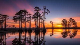 "Exploring Louisiana: Top 10 Must-Visit Places"