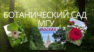 Ботанический сад МГУ