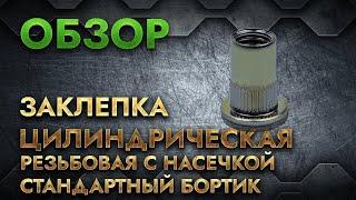 Заклепка цилиндрическая резьбовая с насечкой со стандартным бортиком | Обзор