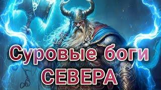 Суровые боги севера