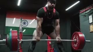 Singha 310 kg deadlift #deadlift #gym #fitness #prolifterpraveen