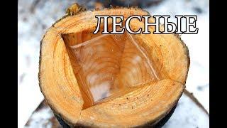 7 ПРОСТЫХ СОВЕТОВ ДЛЯ ЛЕСА | 7 BUSHCRAFT TIPS