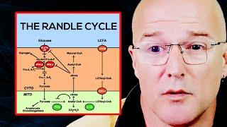 The Randle Cycle Explained (DON'T Mix These Nutrients) | Prof. Bart Kay
