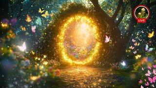 Enchanted Forest Music  The Mystical Entrance to the Forest  Reduce Anxiety and Increase Peace