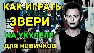 Звери - Районы-Кварталы на Укулеле (Видео Урок Как Играть) Разбор