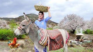 Village Lifestyle Iran: Amazing Cooking & Donkey Riding By A Girl