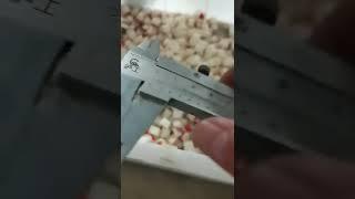 10mm Potato Dicing Machine| +86 13733892205