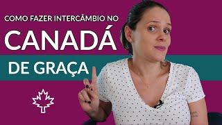 Intercâmbio no Canadá de graça com a bolsa de estudos Elap - Partiu Intercâmbio