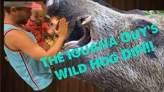 The Iguana guy 305  Hog Dip