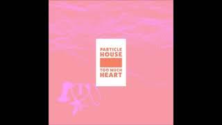Particle House ft  Sousa Perth   Endless Summer Instrumental