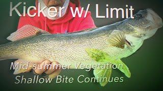 Mid-summer Vegetation Shallow Bite Continues Kicker w/ Limit