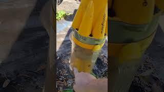 I bet you never seen a planter like this before with its own built-in watering bucket