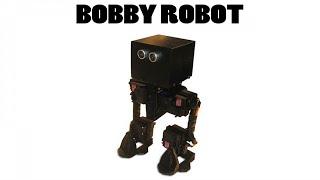 Bobby Robot - HOL (BOBBY ROBOT)