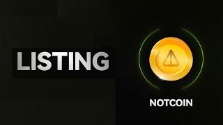 НЕ листинг Notcoin. Почему это точка отсчета для TON