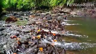 River streams Mind relaxing nature Relaxing sound videos meditation nature sounds asmr meditation